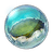 Vonwacq's Island of Birth